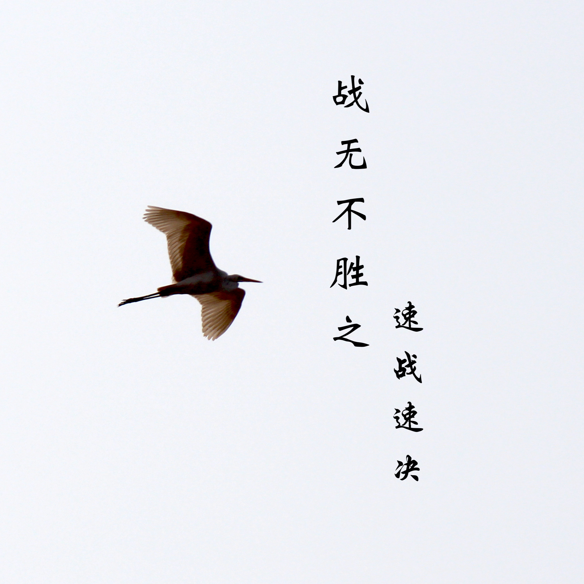 球队战无不胜,凭实力夺得赛季最终胜利的简单介绍 球队战无不胜,凭实力夺得赛季最终胜利的简单介绍