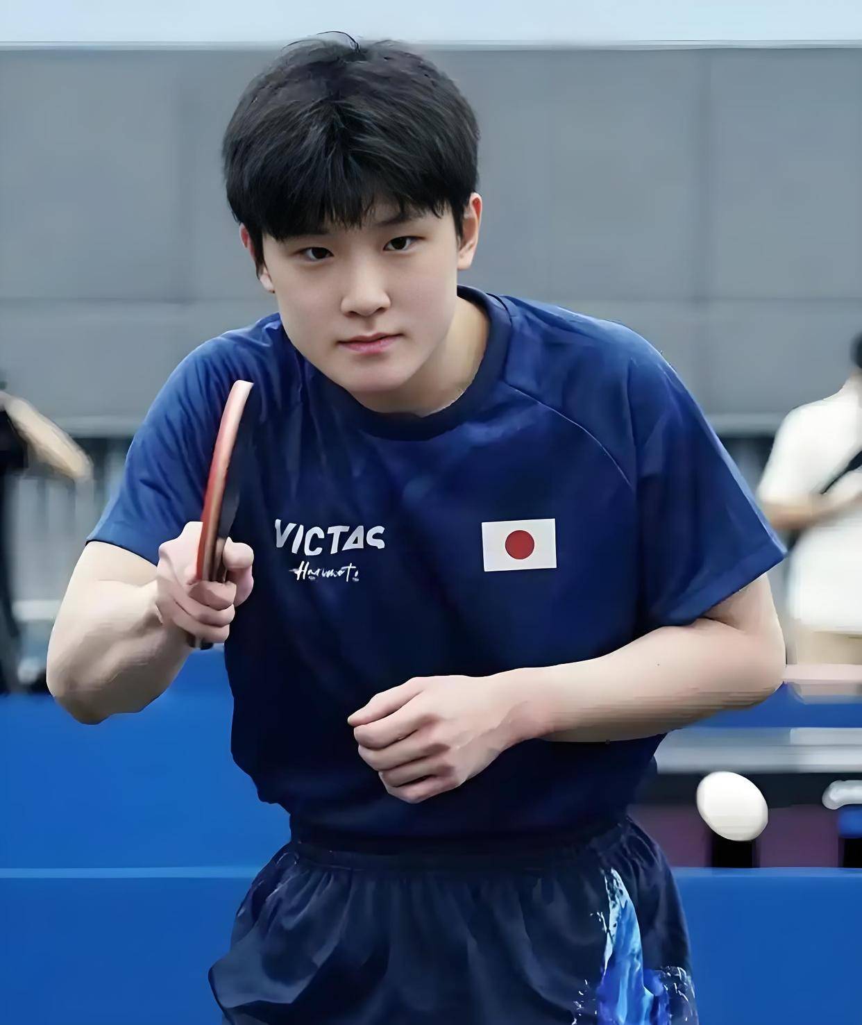 PG电子官网-关于日本队险胜葡萄牙队，张本智和扛起全队的信息