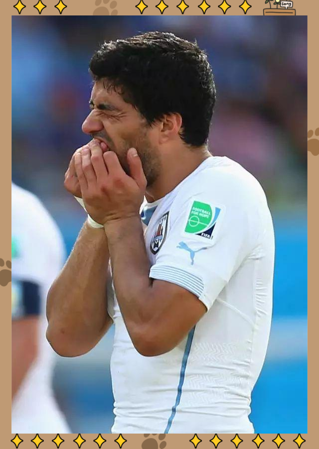 乌拉圭选手一路搏击成功晋级