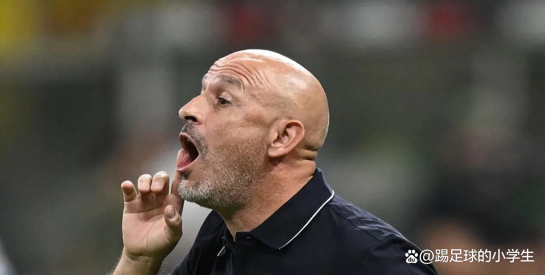 博洛尼亚客场取胜，实现反弹的简单介绍