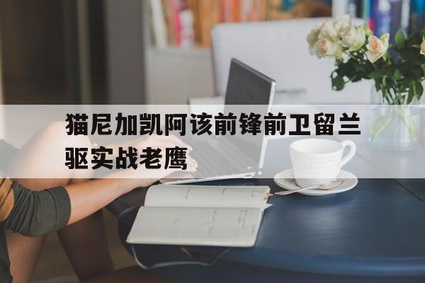 关于猫尼加凯阿该前锋前卫留兰驱实战老鹰的信息