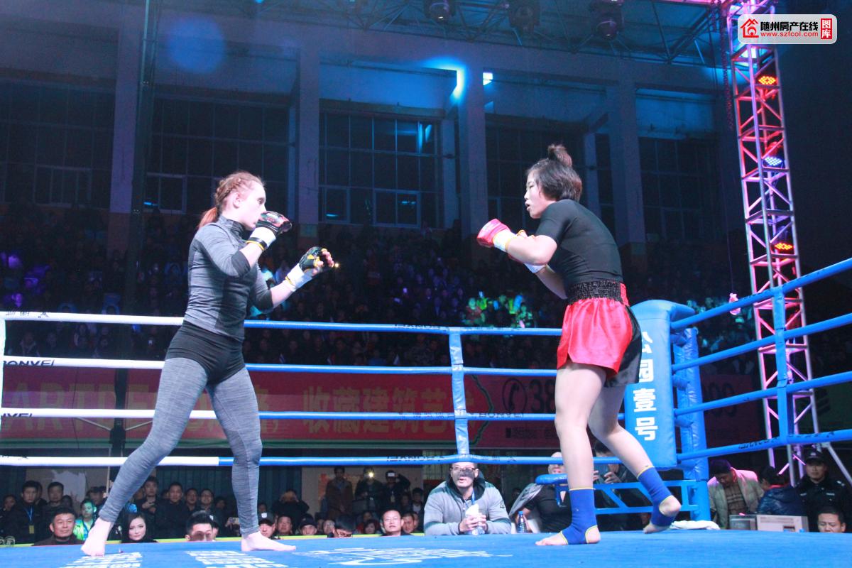 PG电子官网入口-葡萄牙选手在拳击赛场赢得掌声