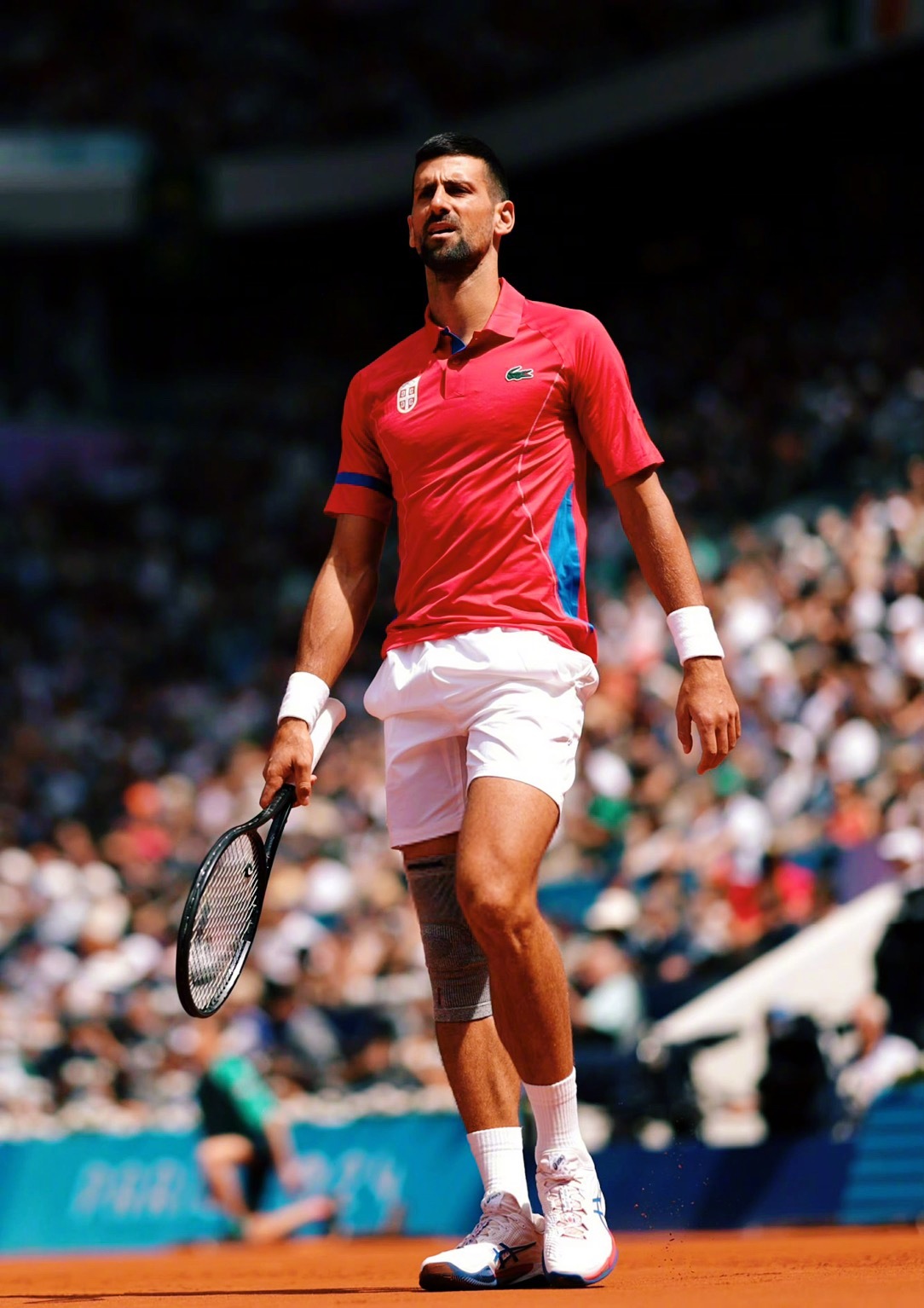 关于欧洲网球队轻取德国网球队，德约科维奇制霸全场的信息