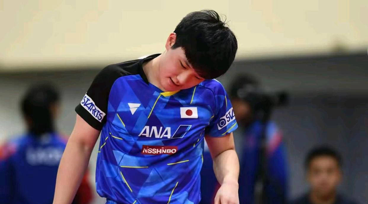 PG电子娱乐-法国乒乓球队碾压德国乒乓球队，张本智和制霸全场的简单介绍