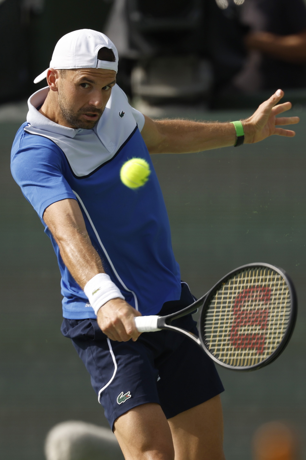 包含欧洲网球队力克美国网球队，梅德韦杰夫三分雨点燃全场的词条