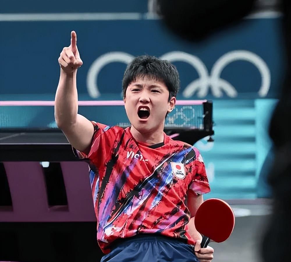 波兰乒乓球队逆转德国乒乓球队，樊振东惊艳世界的简单介绍