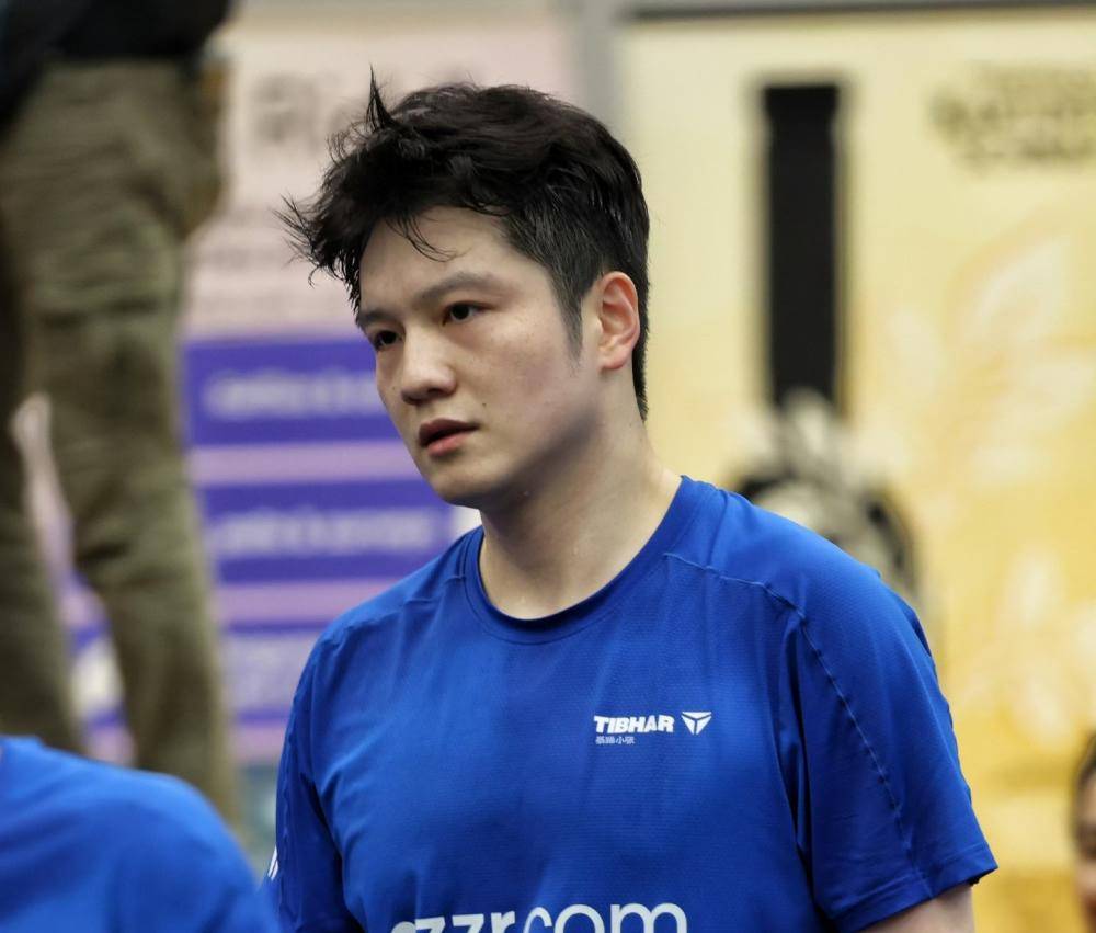 关于德国乒乓球队力克法国乒乓球队，樊振东送出助攻的信息