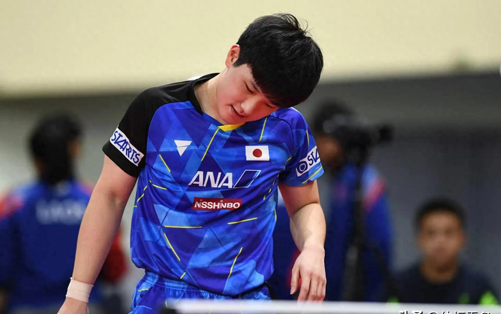 日本乒乓球队逆转波兰乒乓球队，张本智和绝境逆转的简单介绍