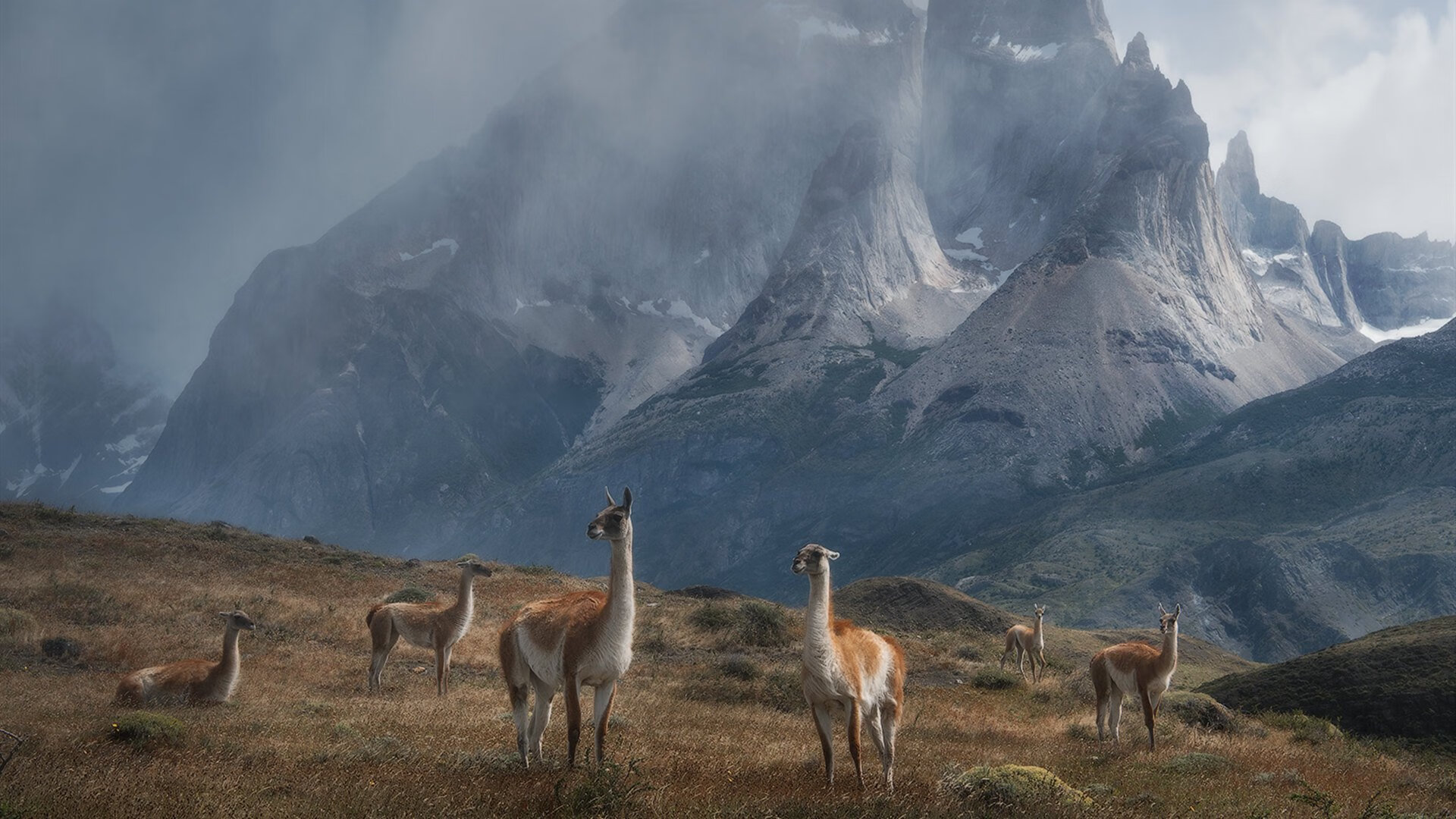 意甲焦点战之夜，莱万展现巨星价值，一锤定音诠释何为关键先生