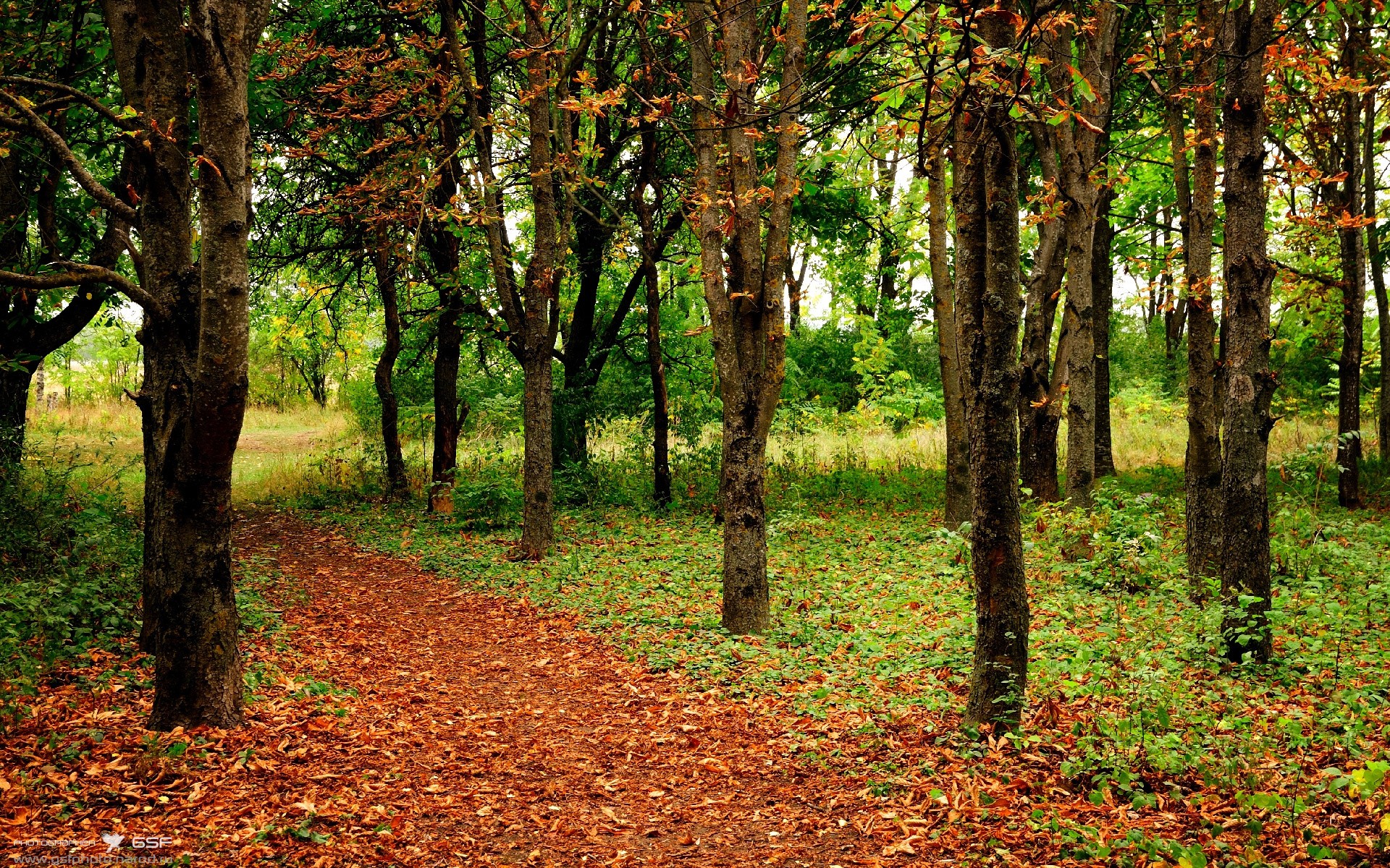 PG电子APP-绿茵之舞，内马尔引领南非逆袭智利