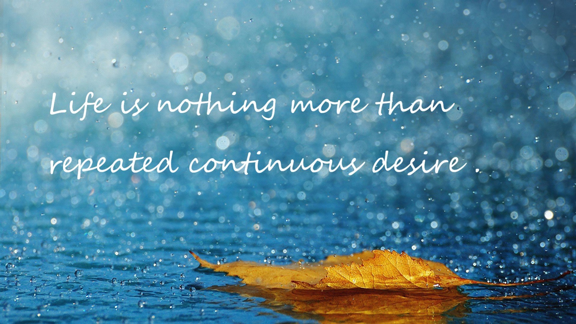 PG中国官网-卡塔尔资本巅峰对决，巴西天才闪耀欧冠半决赛