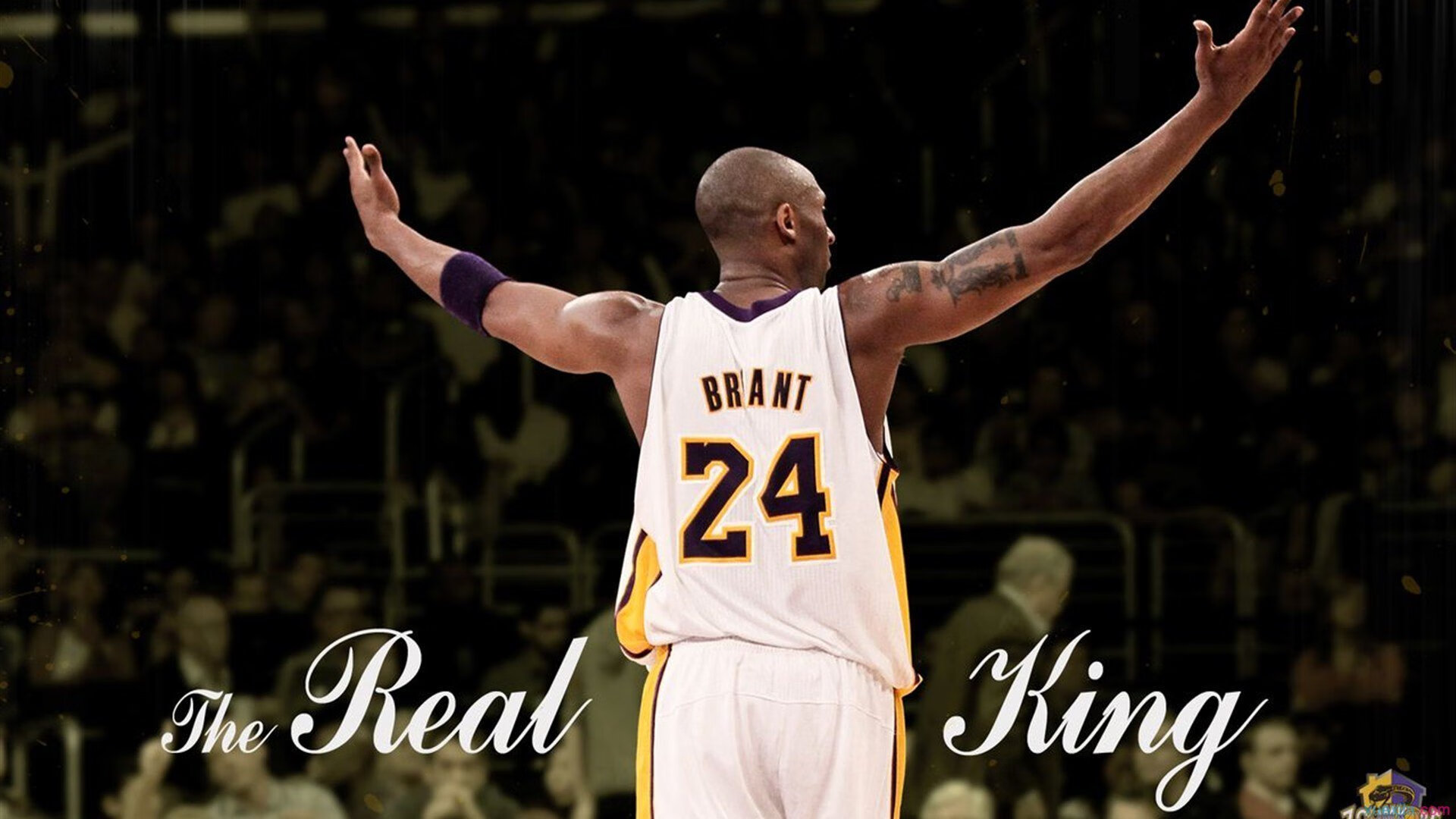 跨界统治力，从加纳铁血防守到伊萨克季后赛接管—现代体育的唯一性胜利哲学